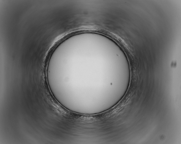 X0000099541168200806061448