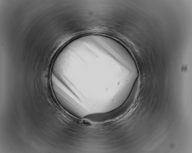 X0000099541170200806061448