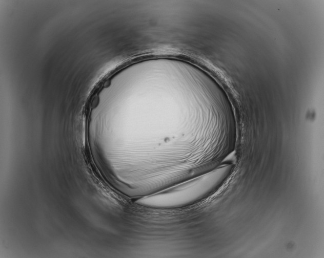 X0000099541171200806061448