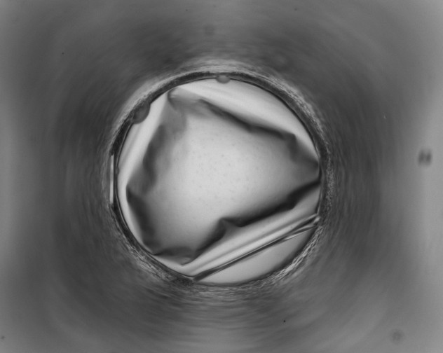 X0000099541175200806061448