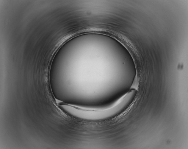 X0000099541177200806061448