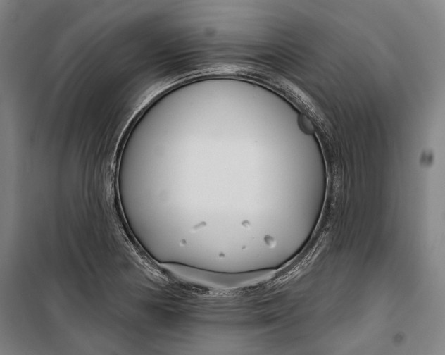 X0000099541178200806061448