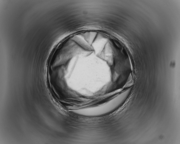 X0000099541179200806061448