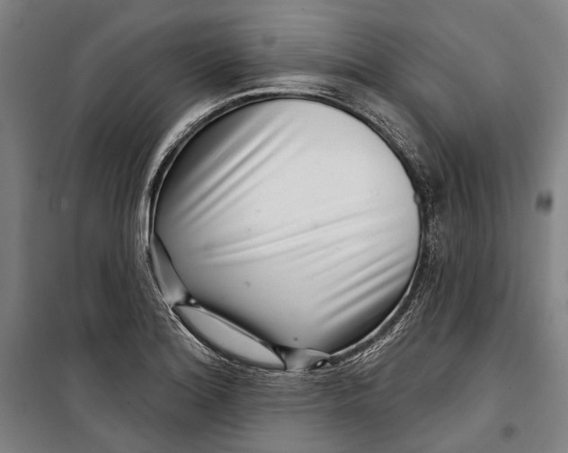 X0000099541180200806061448