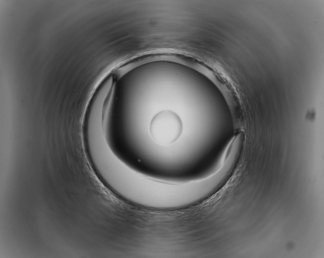 X0000099541181200806061448