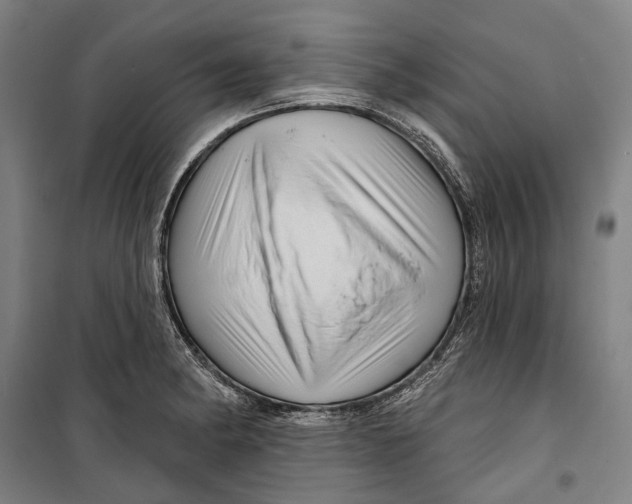 X0000099541182200806061448