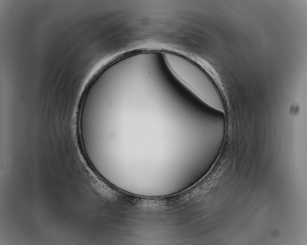 X0000099541183200806061448