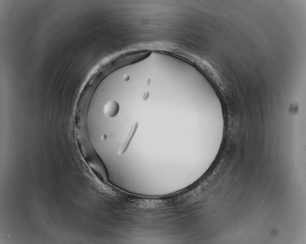 X0000099541184200806061448