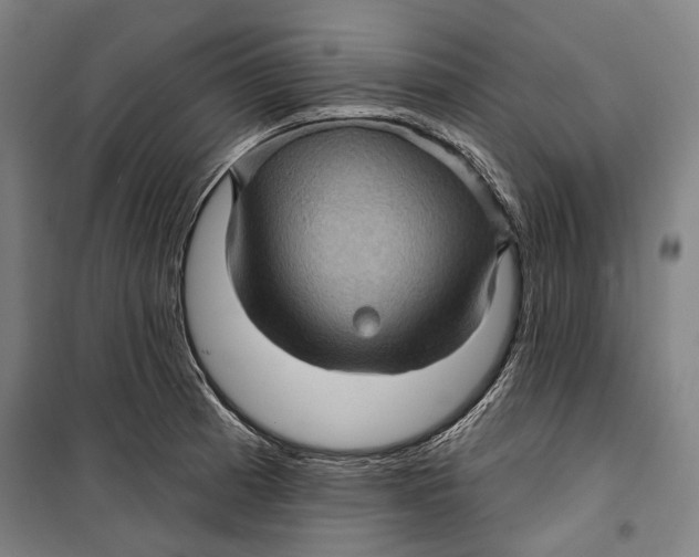 X0000099541185200806061448