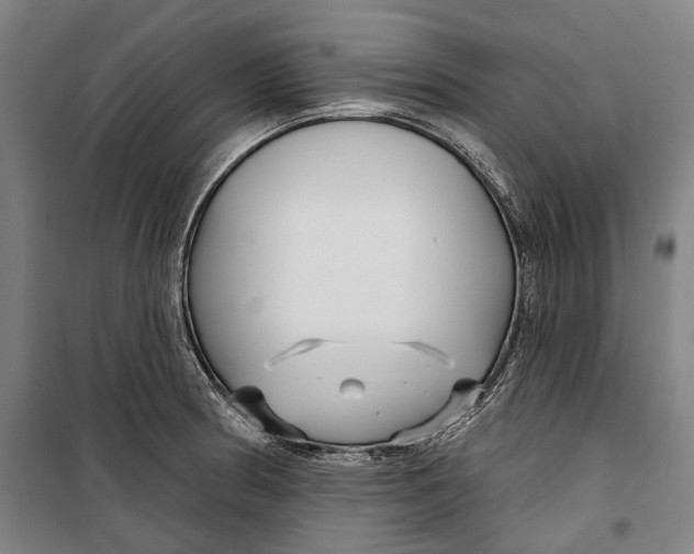 X0000099541186200806061448