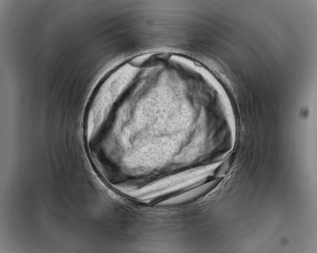 X0000099541189200806061448