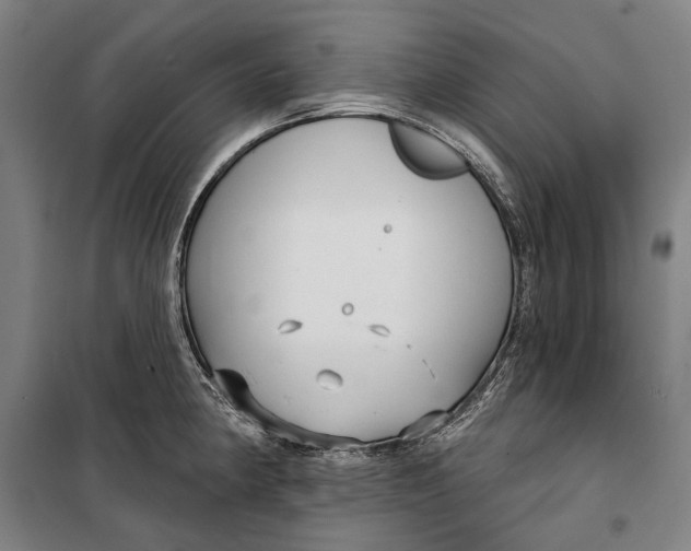 X0000099541190200806061448