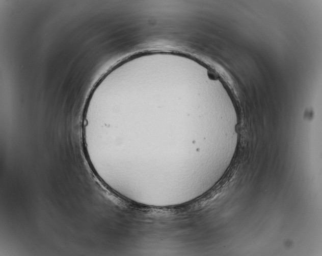 X0000099541191200806061448