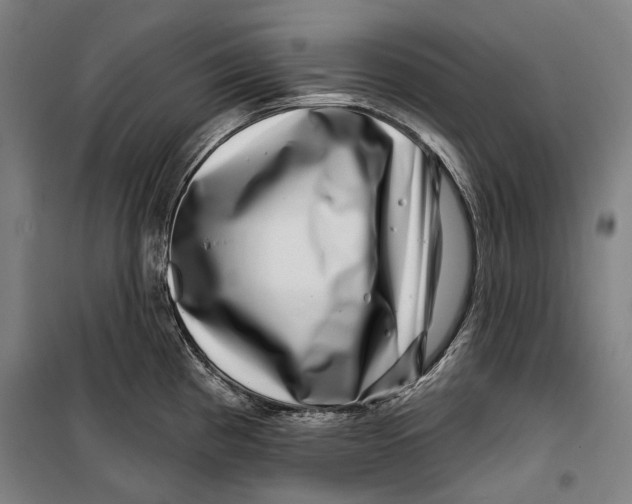 X0000099541193200806061447