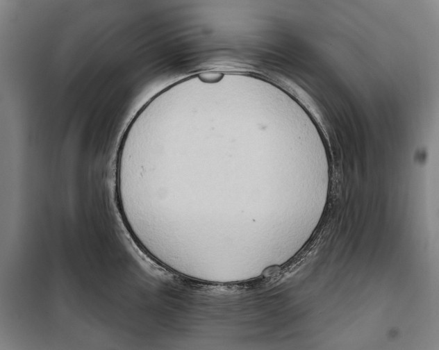 X0000099541195200806061447