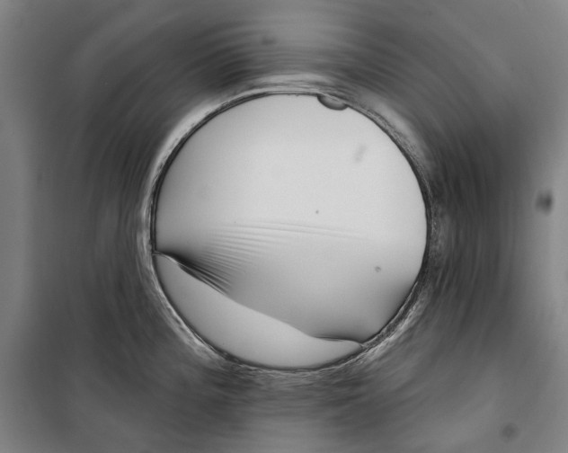 X0000099541196200806061447