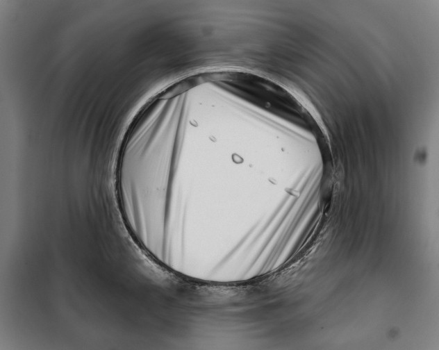 X0000099541197200806061447