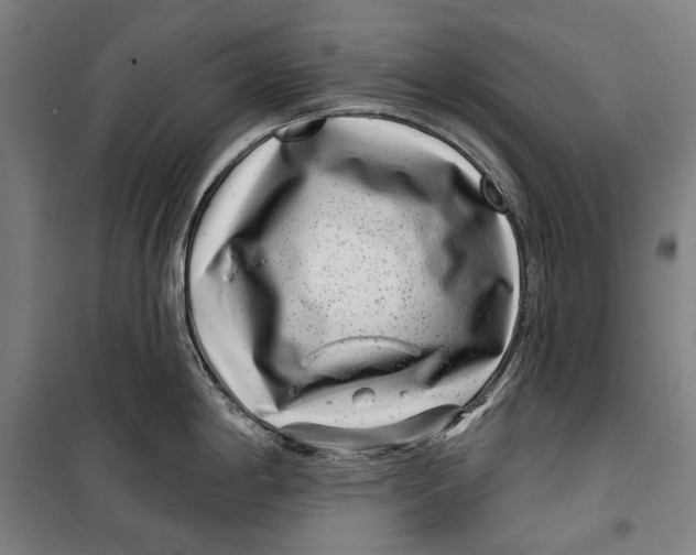 X0000099541198200806061447