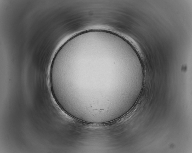 X0000099541199200806061447