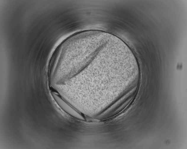 X0000099541200200806061447