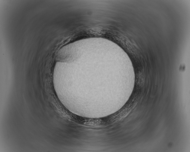 X0000099541201200806061447