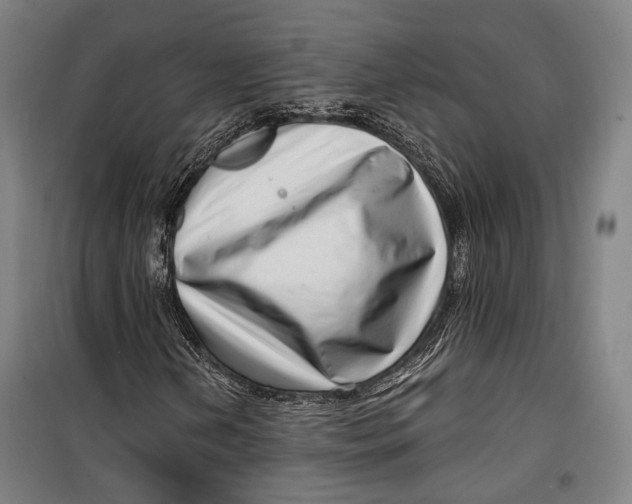 X0000099541202200806061447