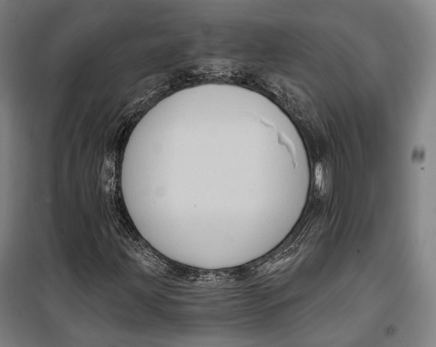 X0000099541203200806061447