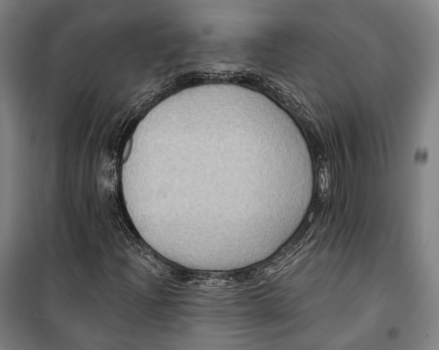 X0000099541204200806061447