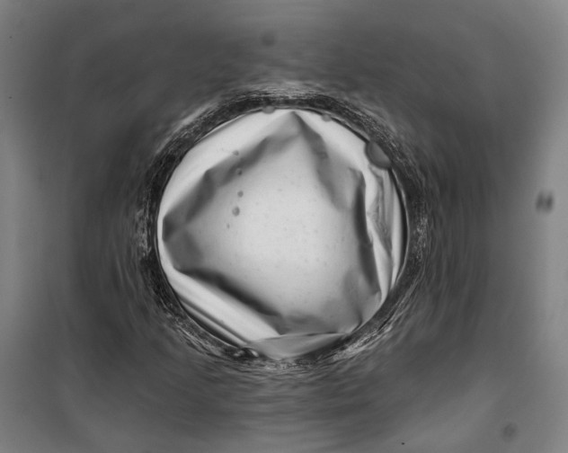 X0000099541205200806061447