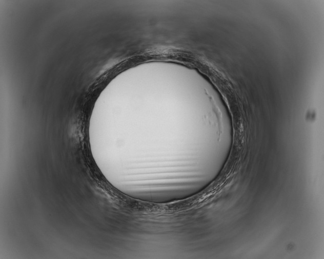 X0000099541206200806061447