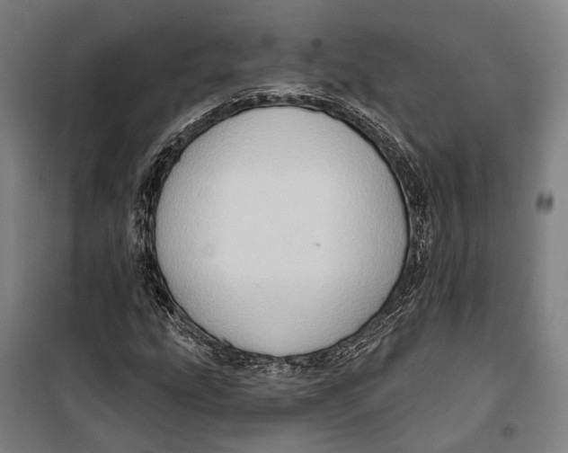 X0000099541207200806061447