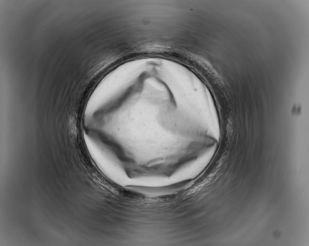 X0000099541209200806061447