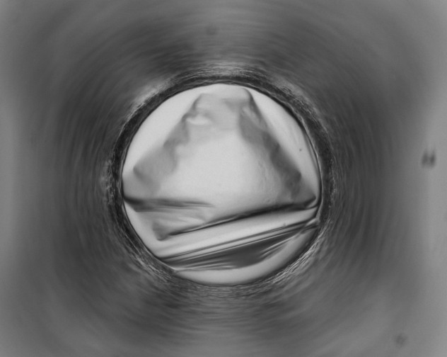 X0000099541210200806061447