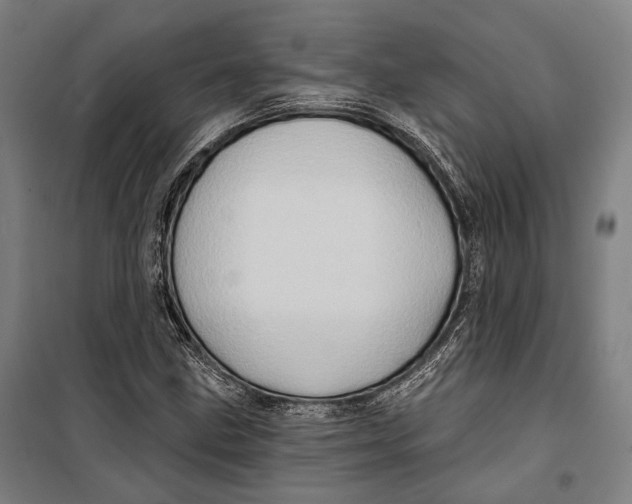 X0000099541211200806061447