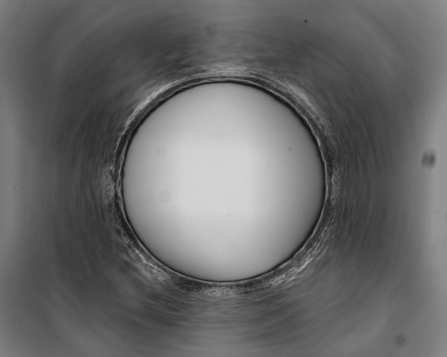 X0000099541212200806061447