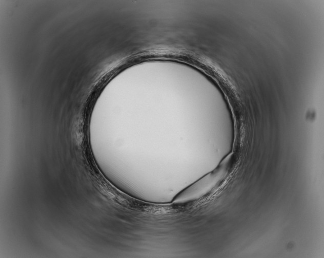 X0000099541213200806061447