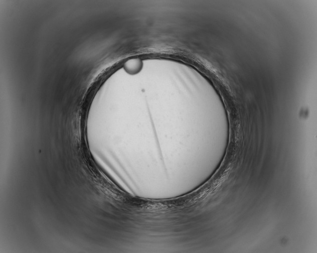 X0000099541214200806061447