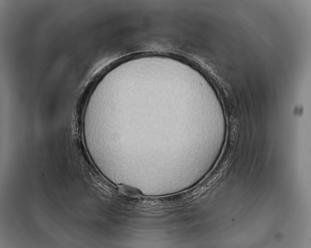 X0000099541215200806061447