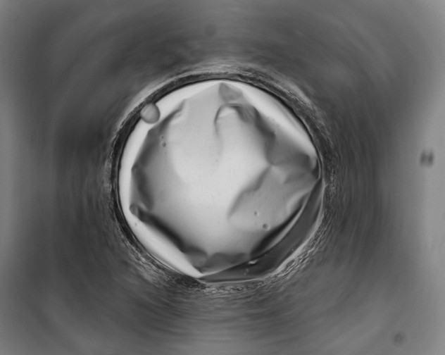 X0000099541216200806061447