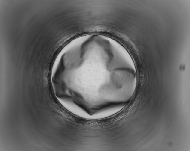 X0000099541217200806061447