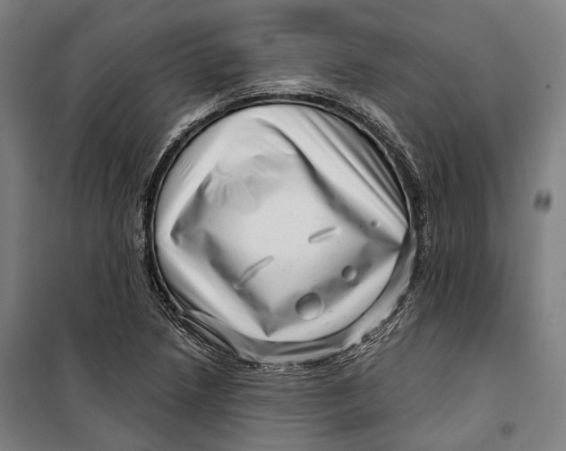 X0000099541218200806061447