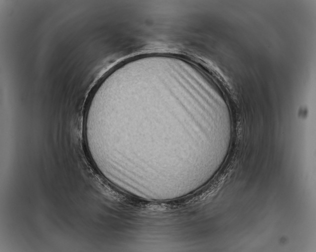 X0000099541220200806061447