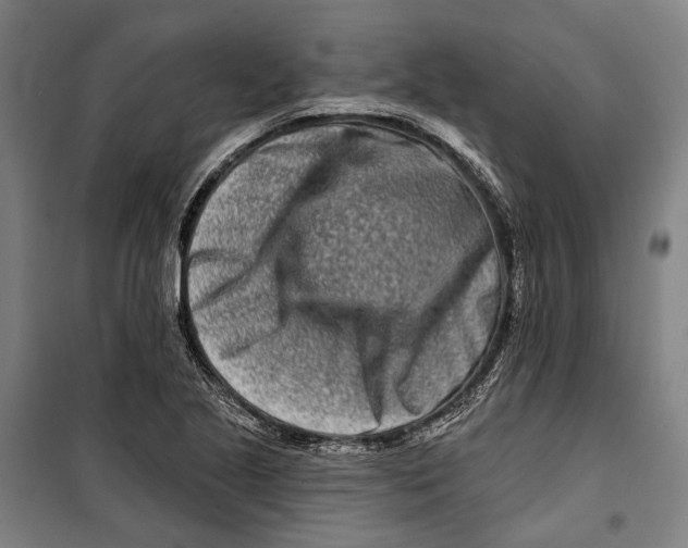 X0000099541221200806061447