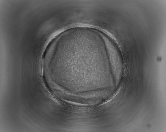 X0000099541223200806061447