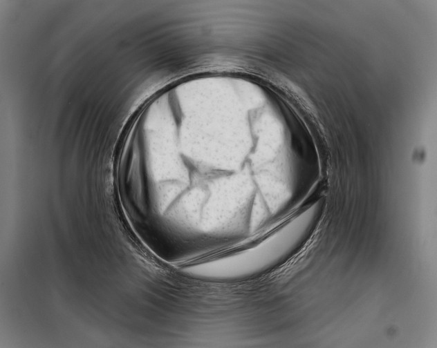 X0000099541226200806061447