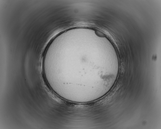 X0000099541227200806061447