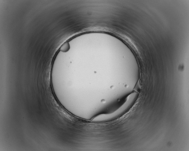 X0000099541228200806061447