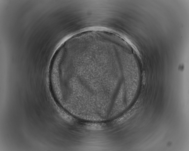 X0000099541229200806061447