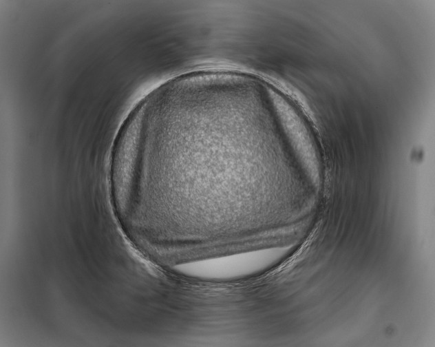 X0000099541231200806061447