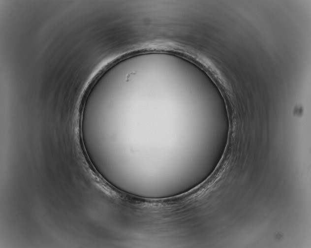 X0000099541232200806061447